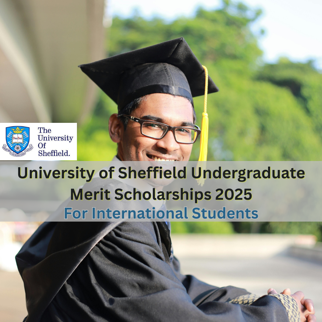 University of Sheffield Undergraduate Merit Scholarships