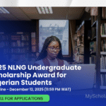 NLNG Undergraduate Scholarship Award 2025